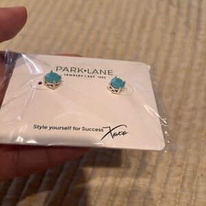 Park Lane Aqua Stud Earrings